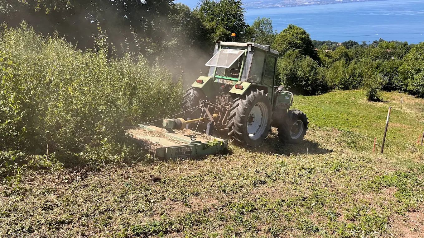 Défrichage d'une parcelle à proximité de Évian-les-Bains