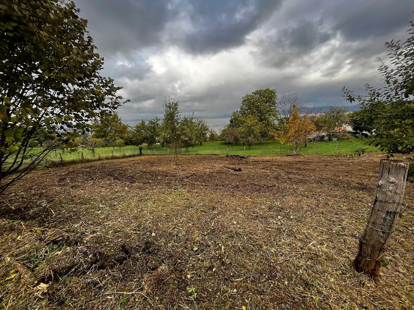 Défrichage d'un champ entier près de Évian-les-Bains.