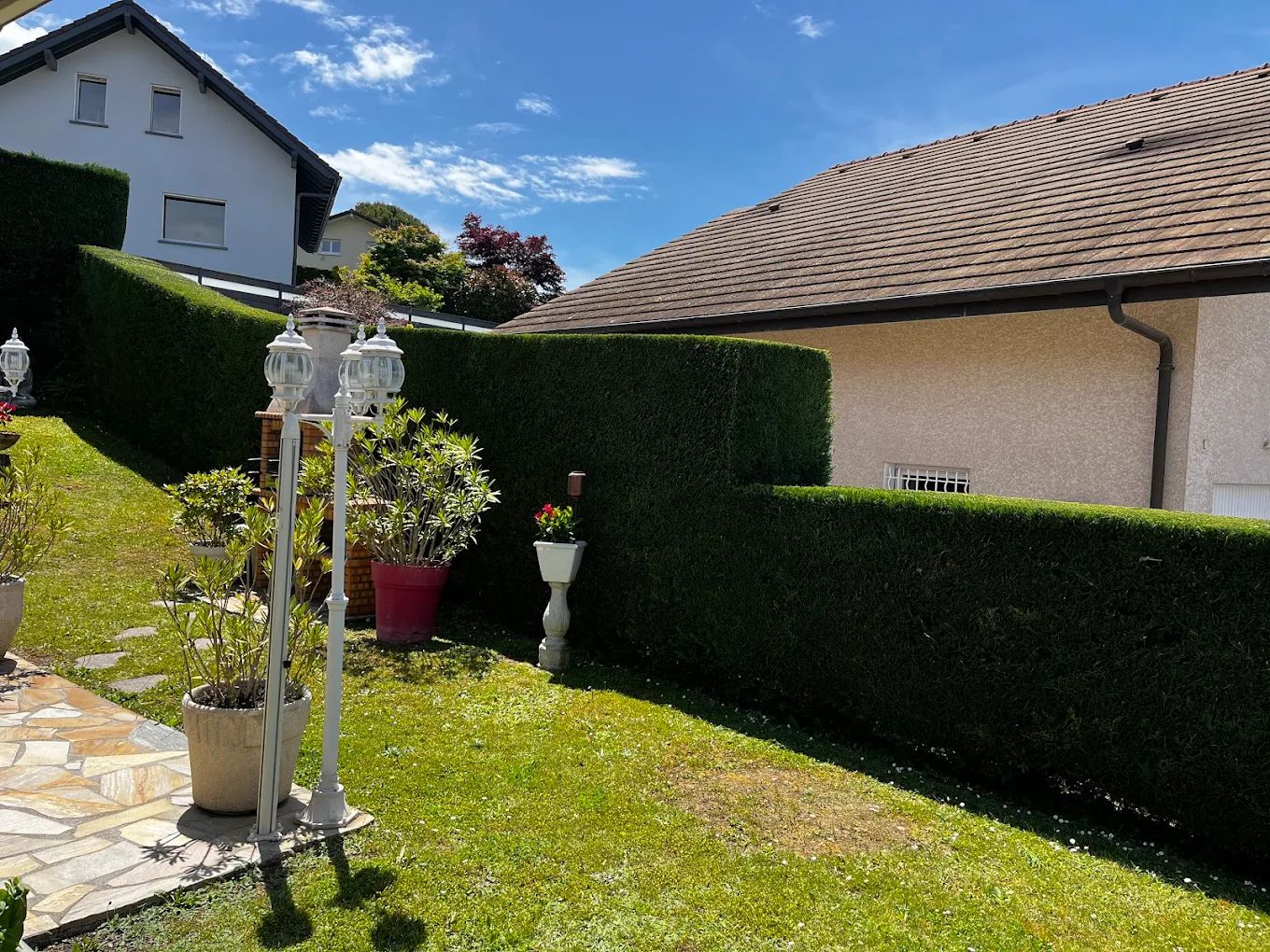 Taille de haie à proximité d'Évian-les-Bains.