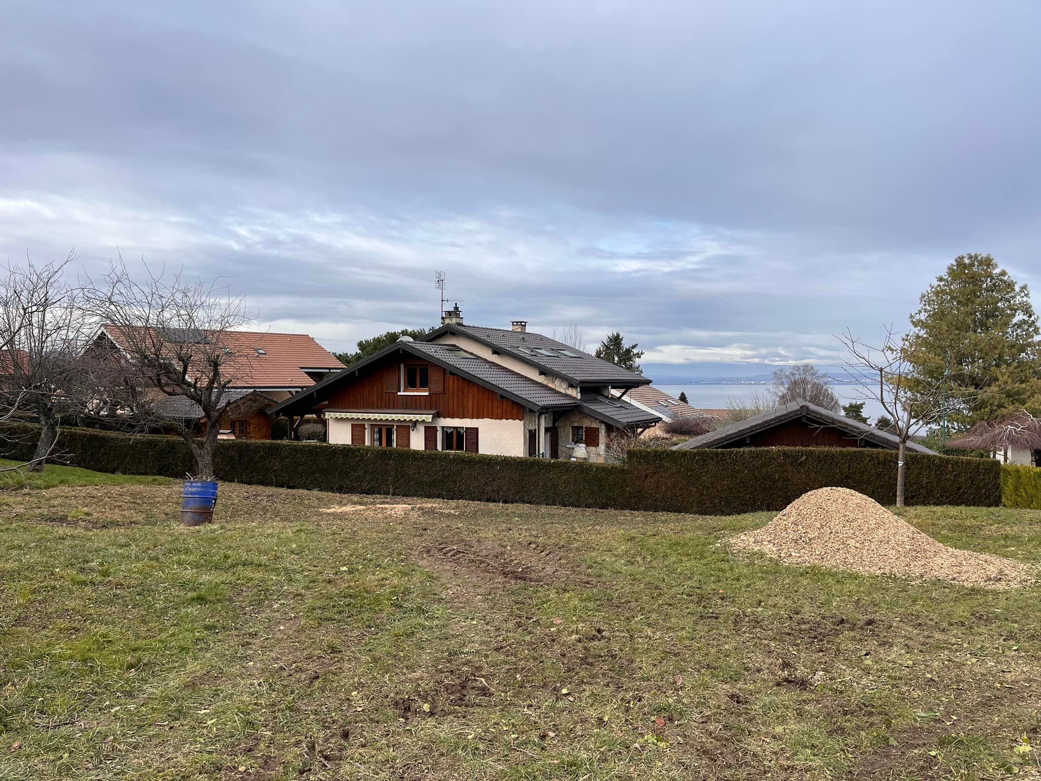 Arbre abattu à Neuvecelle