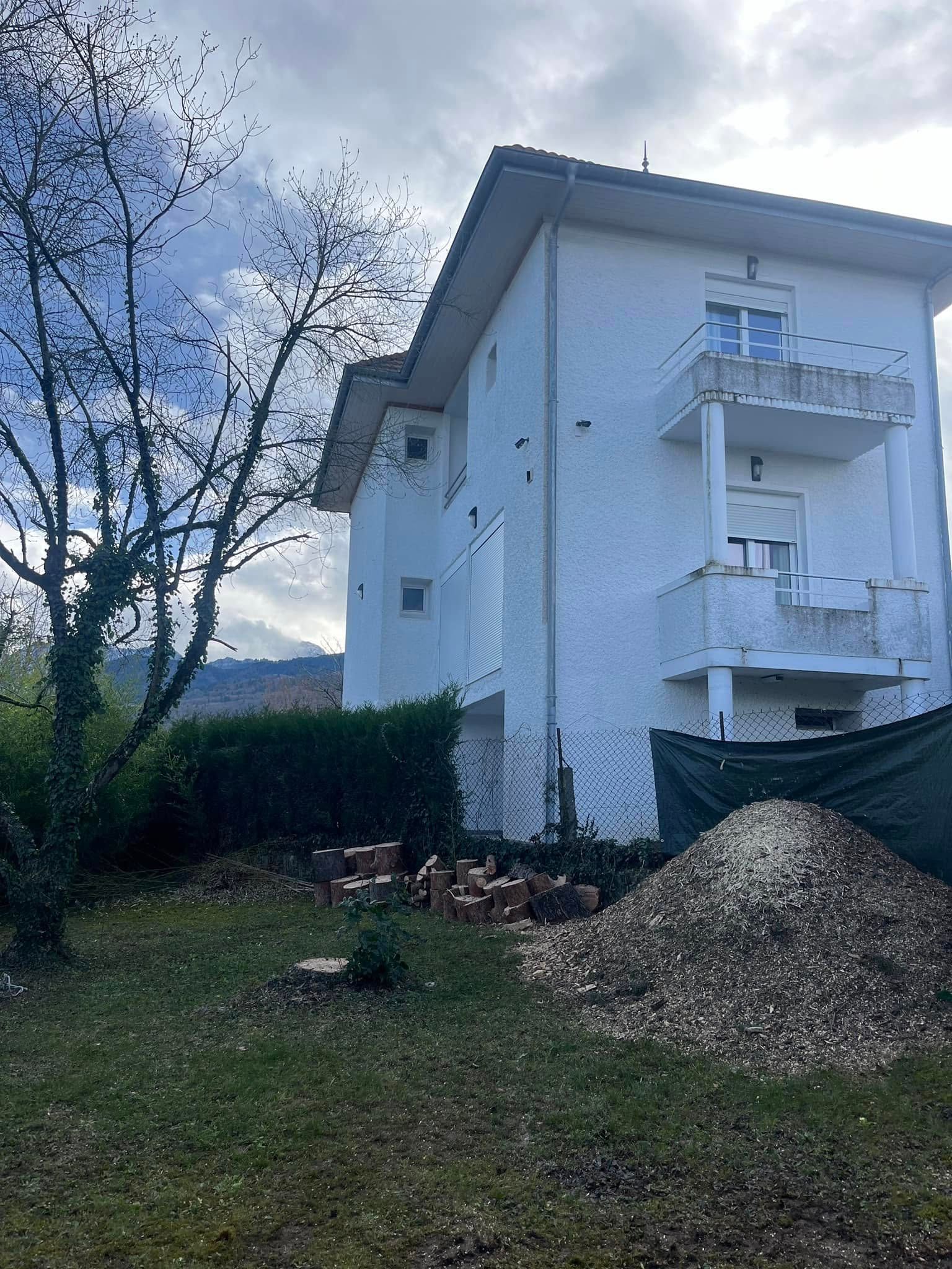 Abattage d'un arbre à Neuvecelle