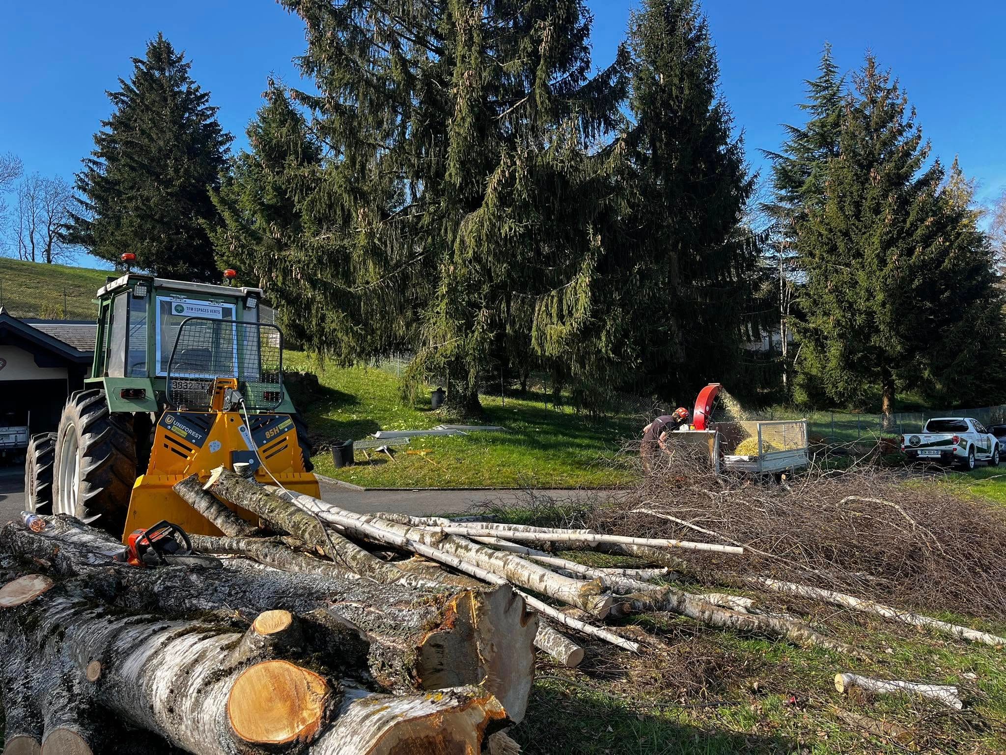 Arbre abattu à Neuvecelle près de Thonon-les-Bains.