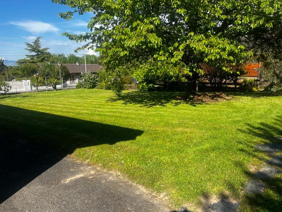 Tonte de pelouse Neuvecelle