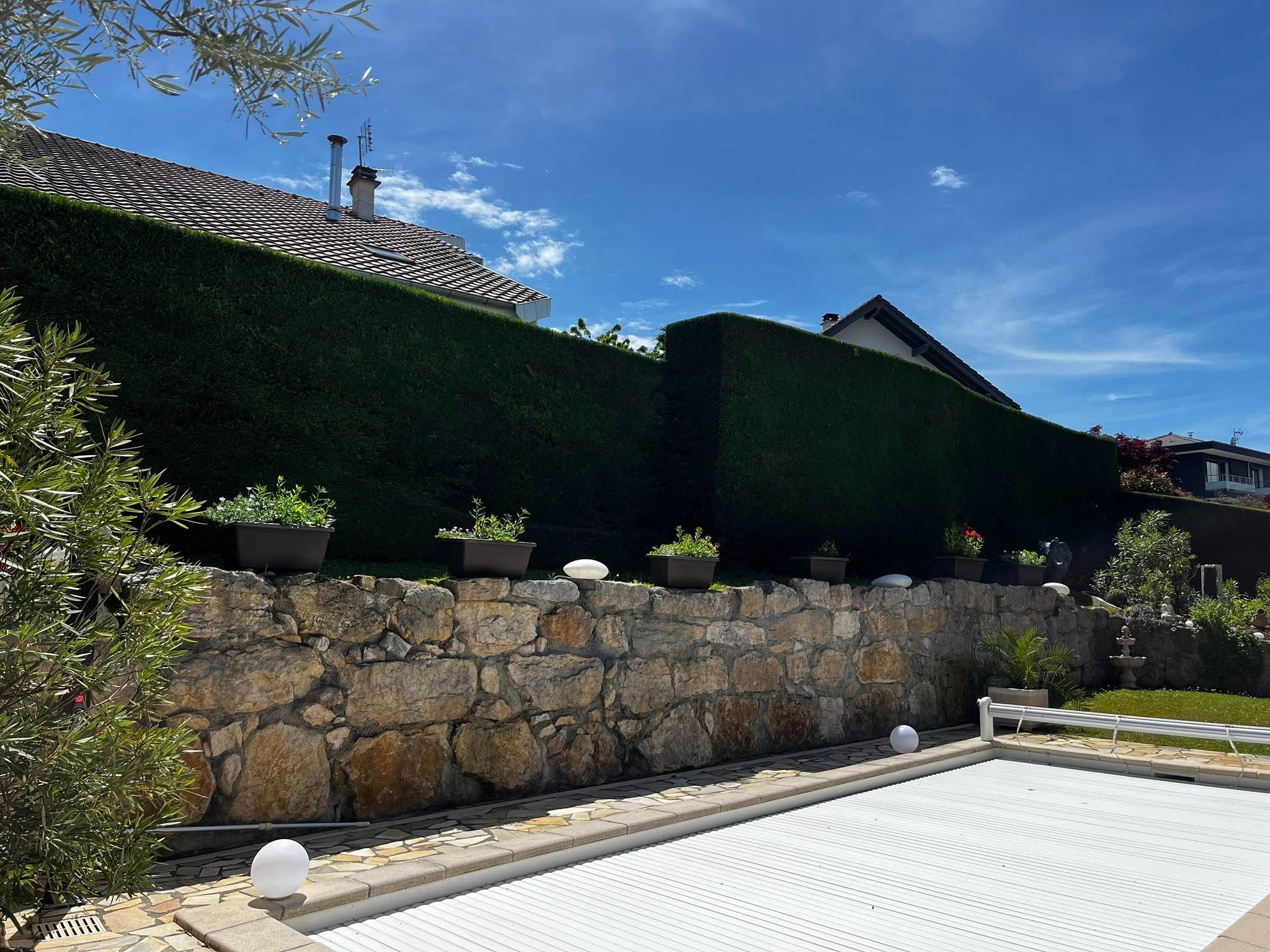 Haie taillée à proximité de Thonon-les-Bains.