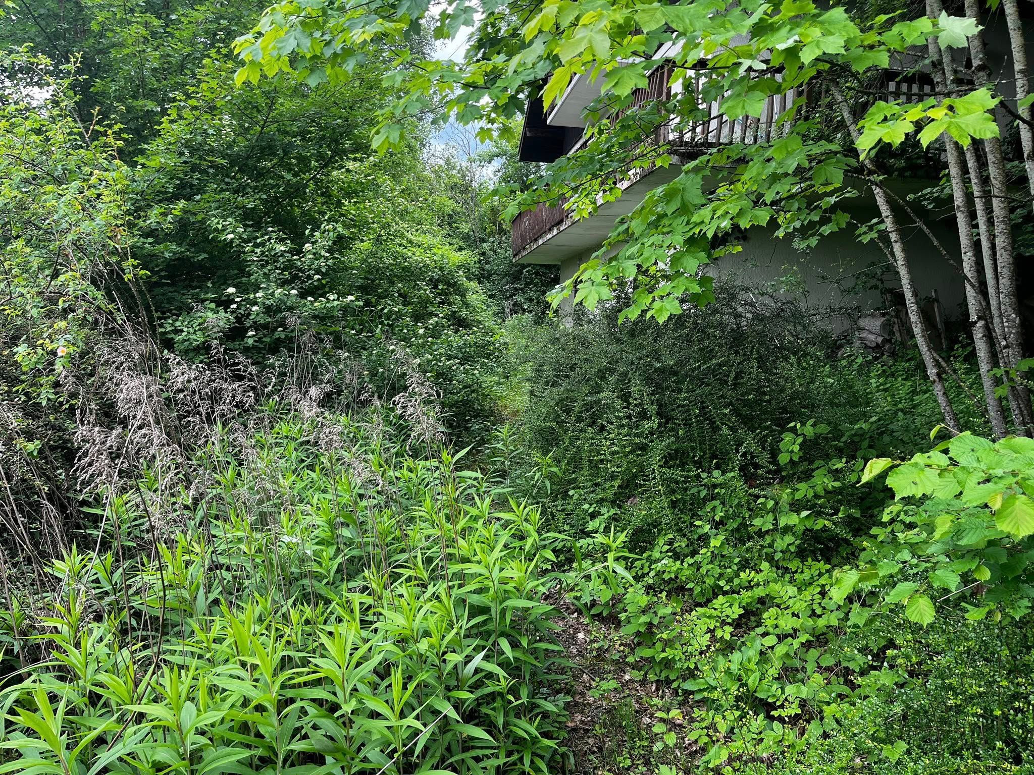 Terrain en friche autour d'une maison à Maxilly-Sur-Léman