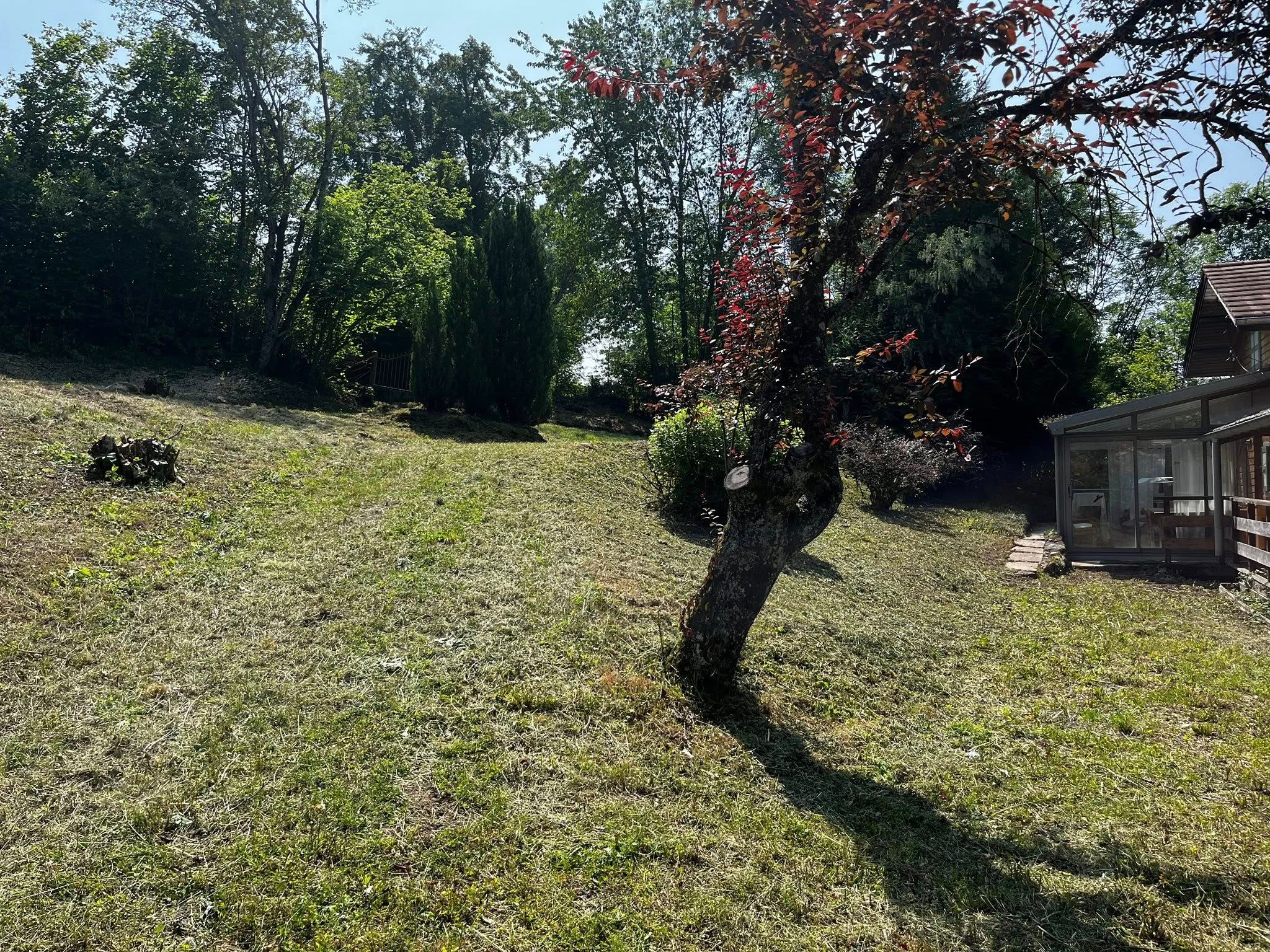 Débroussaillage d'un terrain à Saint-Paul-en-Chablais