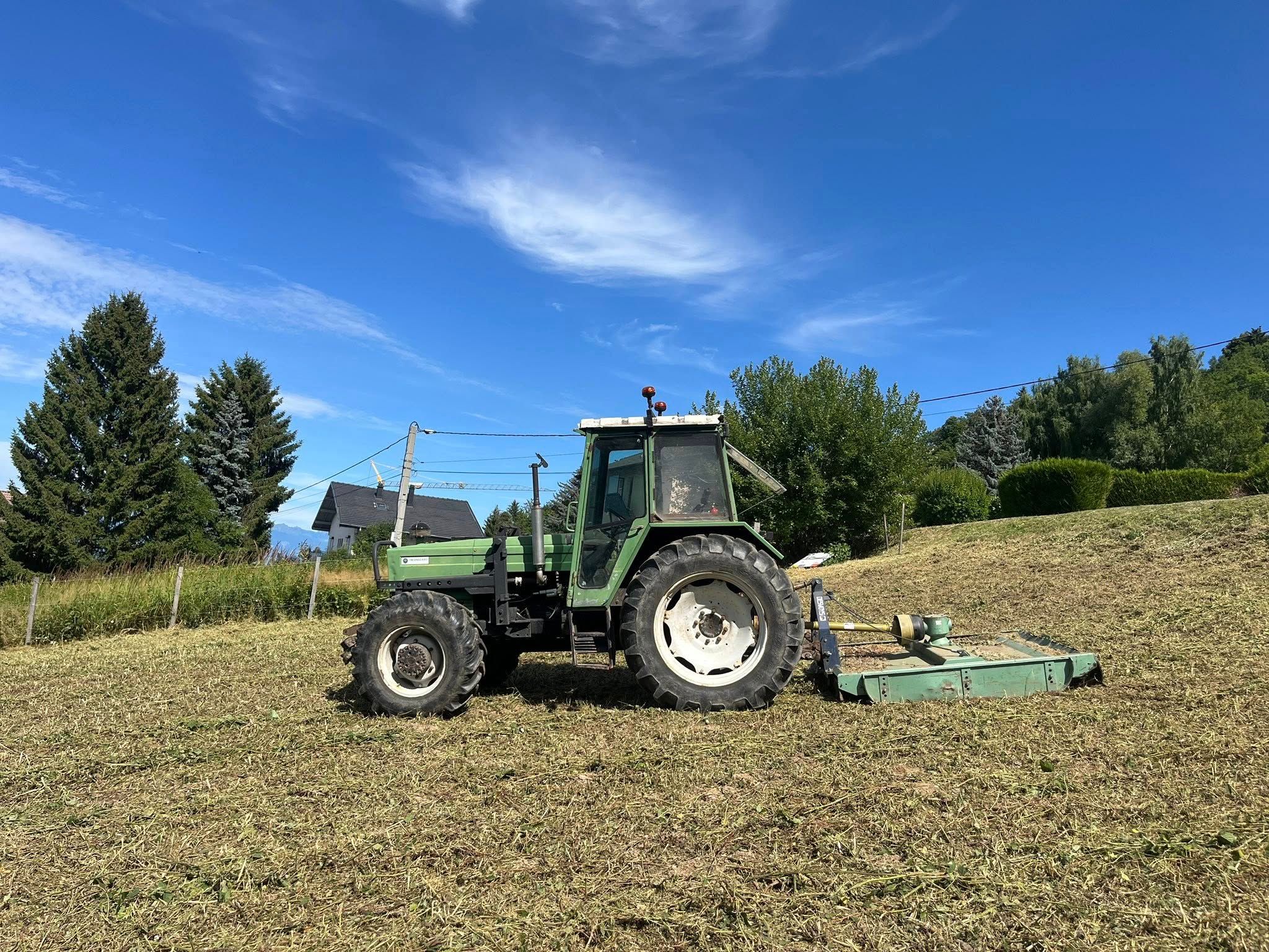 Terrain défriché près de Thonon-les-Bains