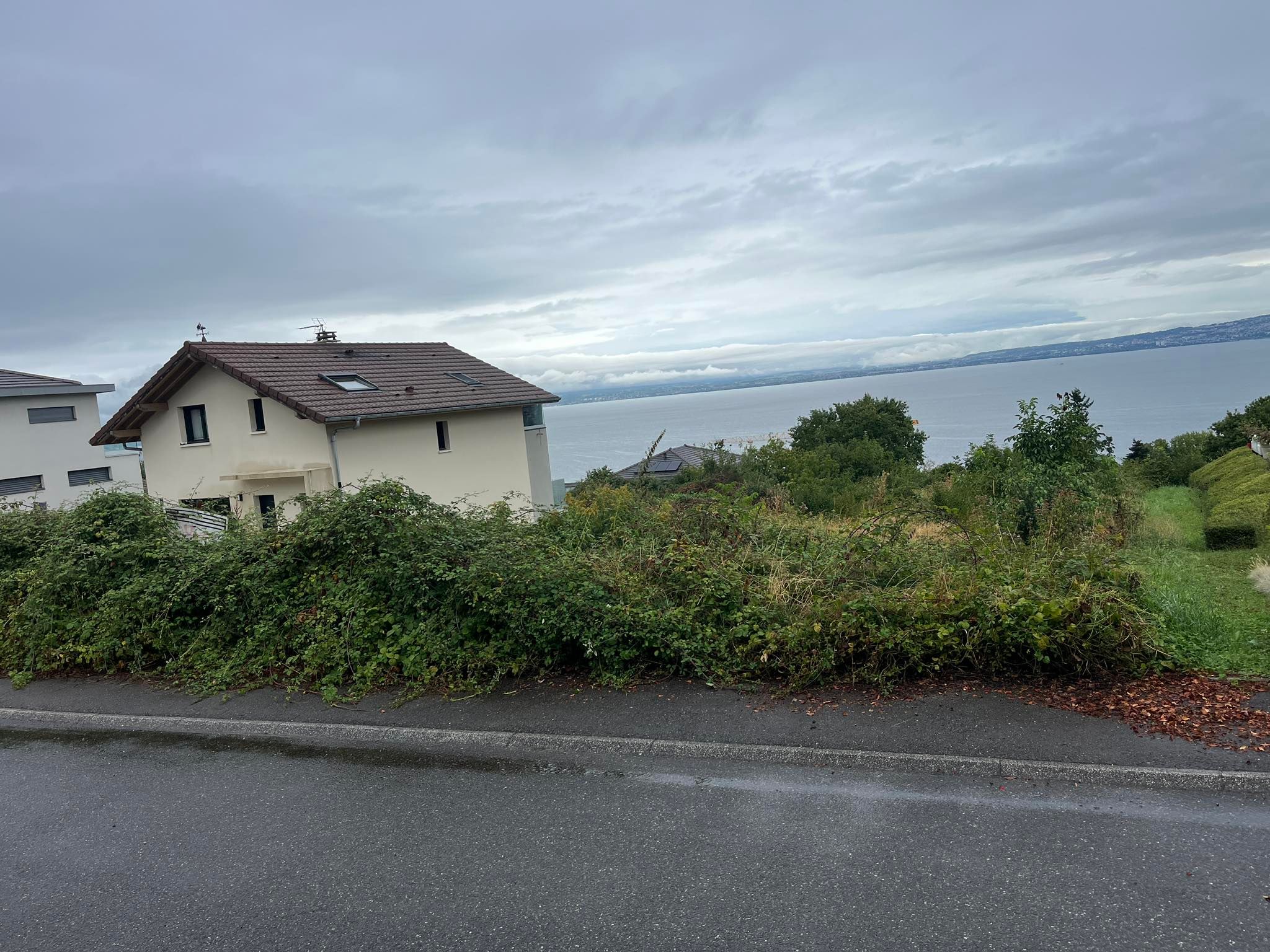 Terrain en friche à Neuvecelle