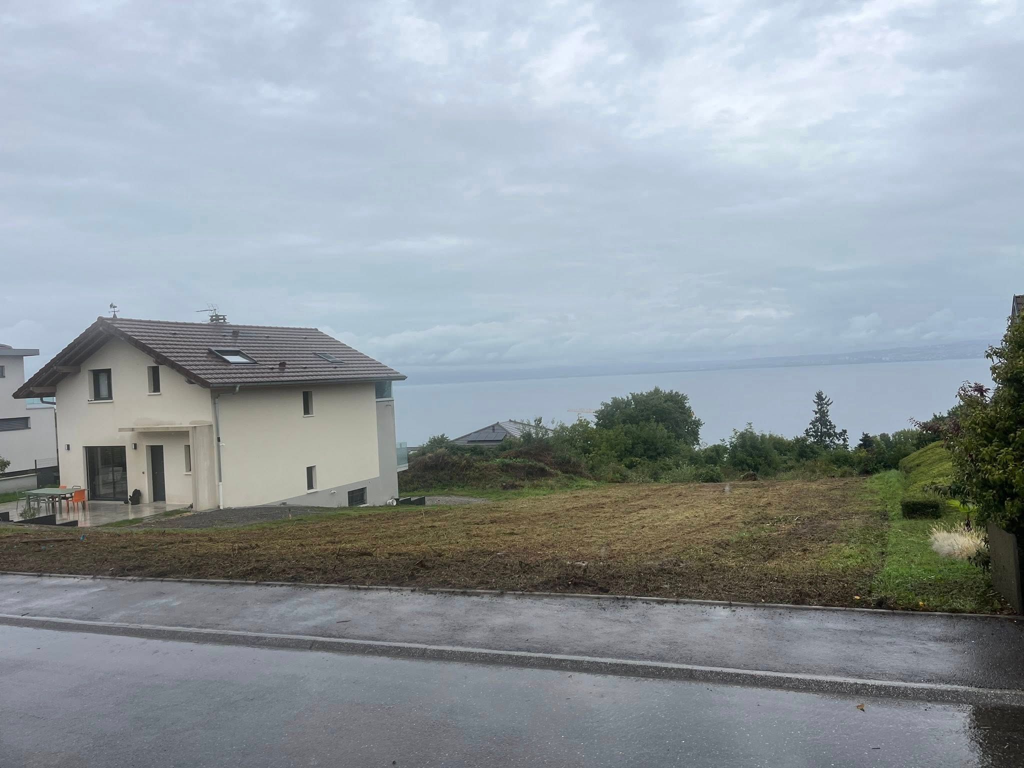 Terrain défriché à Neuvecelle