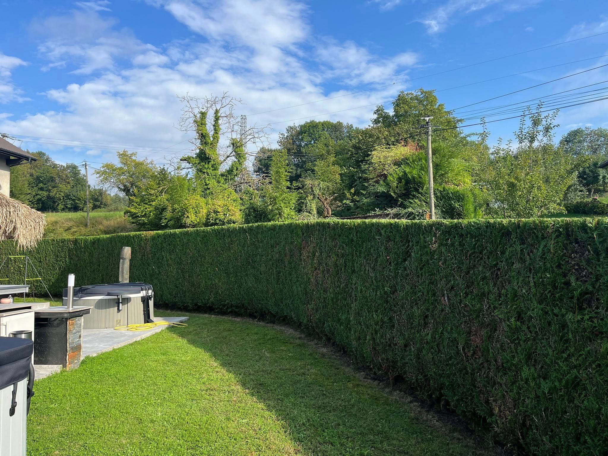 Taille de haie à proximité de Thonon-les-Bains