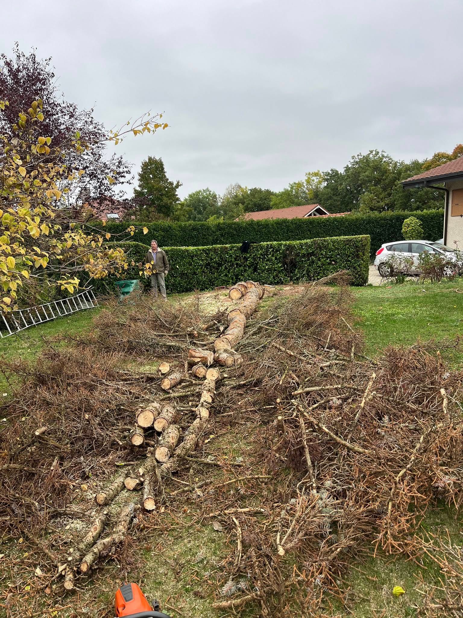 Arbre abattu à Armoy et débité