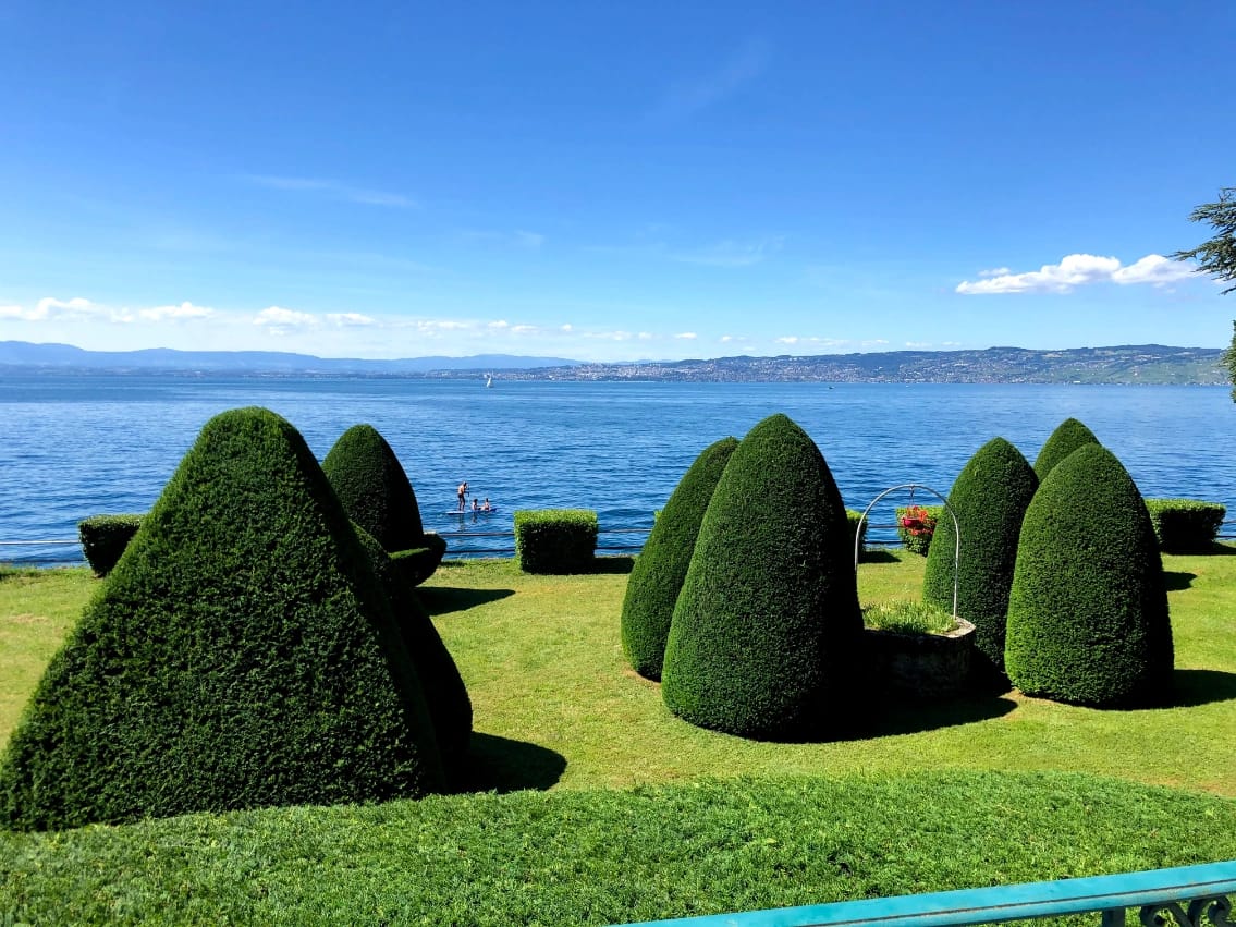 Taille de massif à proximité du lac Léman.