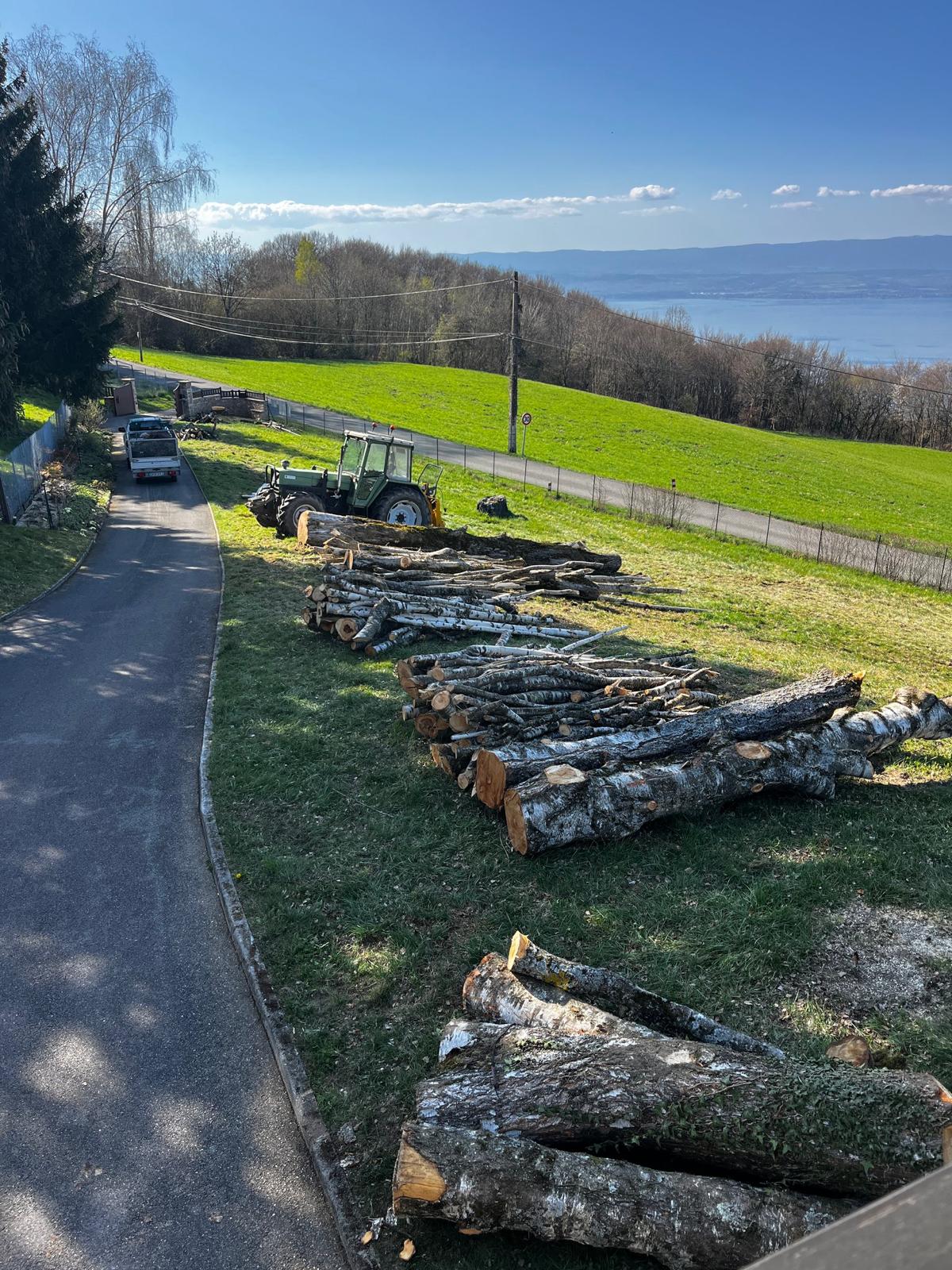Abattage et débardage d'un arbre en Haute-Savoie