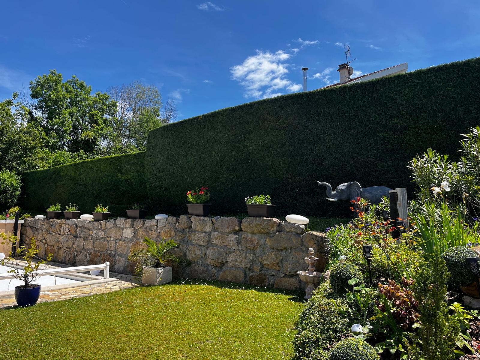 Haie taillée à Publier