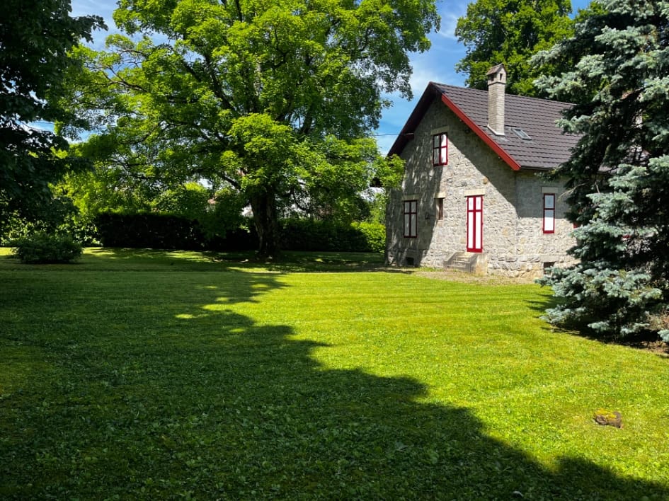 Pelouse taillée à Neuvecelle dans le terrain d'une maison