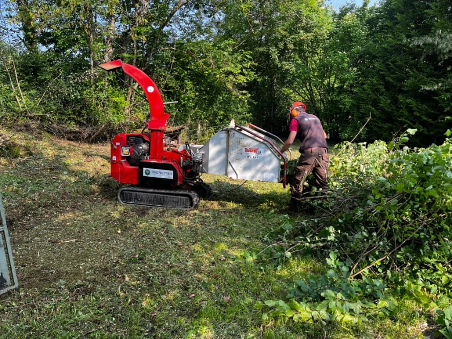 Défrichage d'une parcelle à proximité de Neuvecelle.