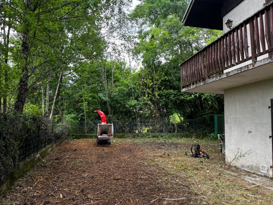 Défrichage du terrain d'une propriété envahie par la végétation proche de Neuvecelle