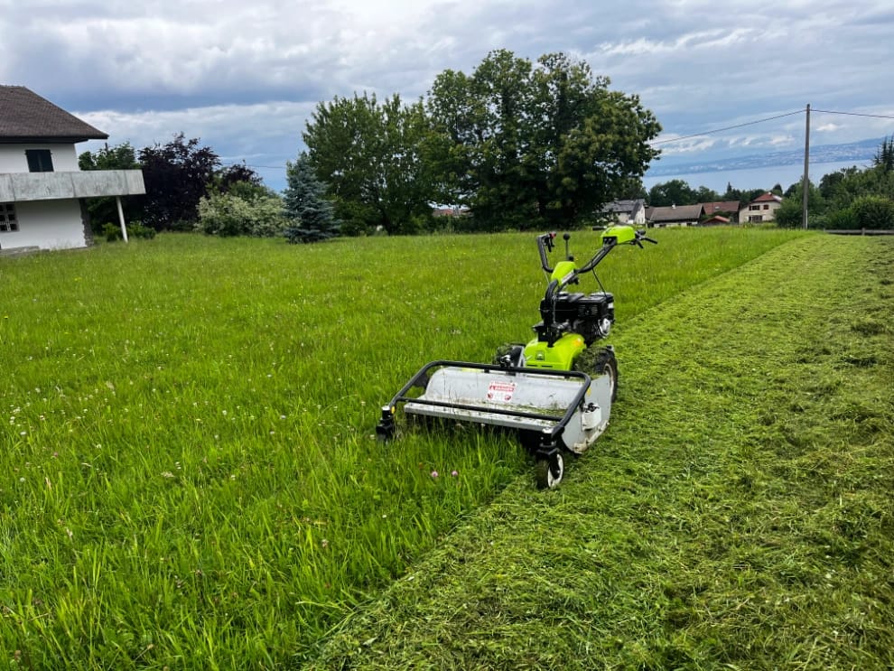 Tonte de pelouse à Neuvecelle