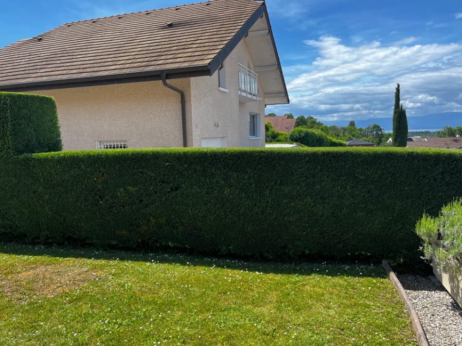 Taille de haie à proximité d'Évian-les-Bains.