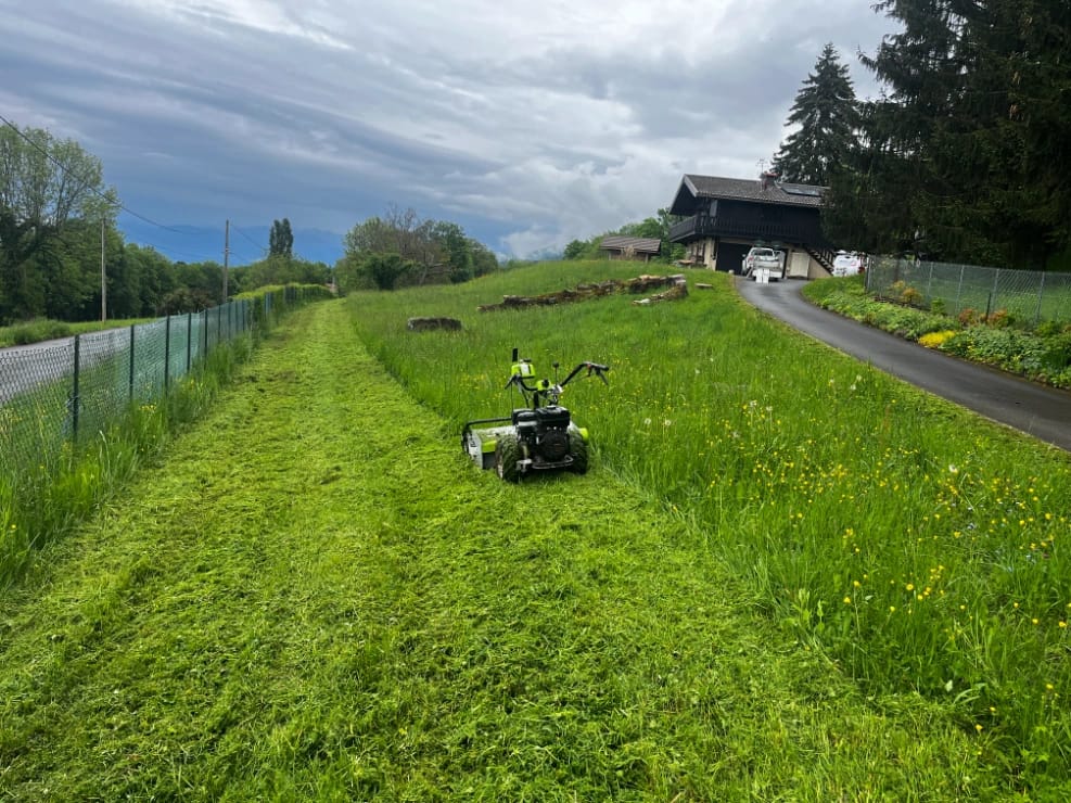 Tonte de pelouse à Neuvecelle près  de Évian-les-Bains